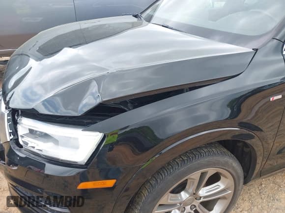 ✅ 2017 Audi Q3 Prestige • VIN: WA1GCCFS5HR015837 • Lot: 41985768. Listed on IAAI with 69,300 mi. Free auction sales archive from the USA and detailed vehicle history report at DreamBid. Image 17.