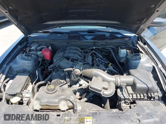 ✅ 2011 Ford Mustang V6 • VIN: 1ZVBP8AM5B5165520 • Lot: 42767448. Listed on IAAI with 212,134 mi. Free auction sales archive from the USA and detailed vehicle history report at DreamBid. Image 10.