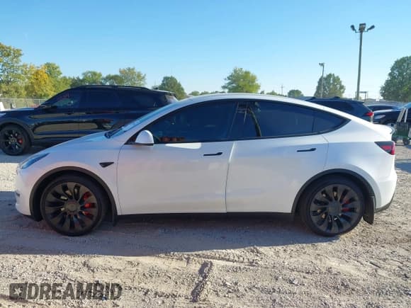 ✅ 2023 Tesla Model Y Performance • VIN: 7SAYGDEF0PF811542 • Lot: 43340864. Wystawiony na IAAI z przebiegiem 20 189 mil. Bezpłatny archiwum sprzedaży aukcyjnych z USA i szczegółowy raport historii pojazdu na DreamBid. Zdjęcie 14.