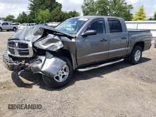 2007 Dodge Dakota SLT с VIN 1D7HW48KX7S256455, выставлен на аукционе Copart как лот 62001464 с пробегом 109 239 миль миль и Списание • Salvage title. История ставок и продаж доступна на DreamBid. Изображение 1.