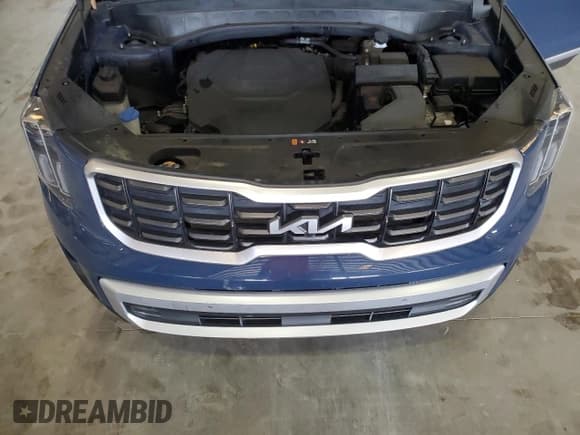 ✅ 2024 Kia Telluride SX • VIN: 5XYP54GC2RG512857 • Lot: 66913765. Listed on Copart with 51,451 mi. Free auction sales archive from the USA and detailed vehicle history report at DreamBid. Image 12.