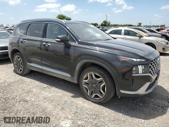 ✅ 2023 Hyundai Santa Fe Limited • VIN: 5NMS44ALXPH484542 • Lot: 61563094. Wystawiony na Copart z przebiegiem 33 970 mil. Bezpłatny archiwum sprzedaży aukcyjnych z USA i szczegółowy raport historii pojazdu na DreamBid. Zdjęcie 4.