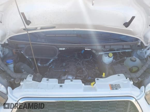 ✅ 2025 Ford Transit Passenger XLT • VIN: 1FBAX2YG2SKA25023 • Lot: 43909984. Wystawiony na IAAI z przebiegiem 5 454 mil. Bezpłatny archiwum sprzedaży aukcyjnych z USA i szczegółowy raport historii pojazdu na DreamBid. Zdjęcie 10.