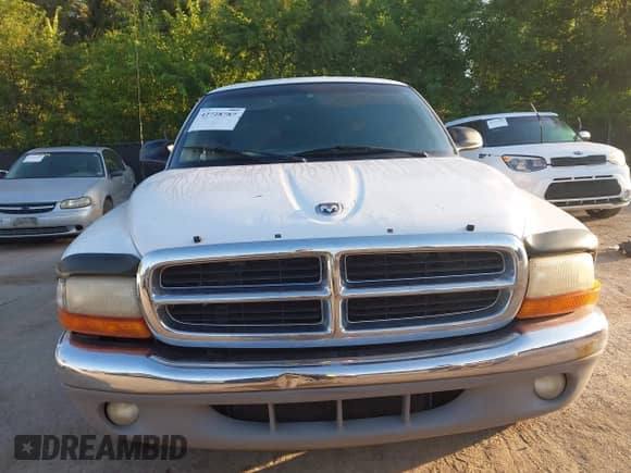1997 Dodge Dakota with VIN 1B7GL23YXVS250828, listed as a IAAI auction lot 42728787 with 201,587 mi miles and . Bid and sale history available at DreamBid. Image 6.