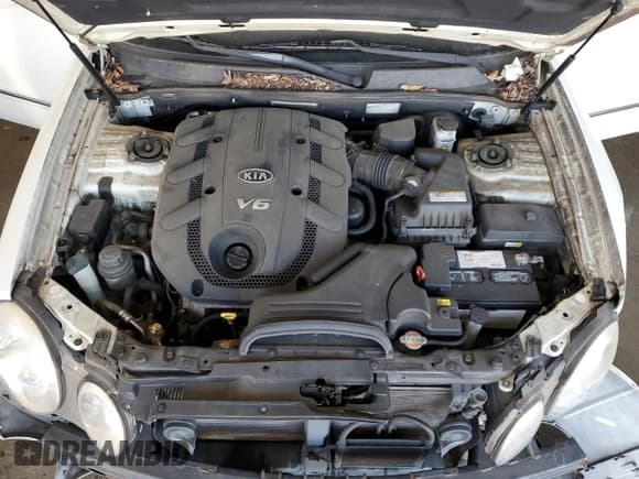 ✅ 2008 Kia Amanti • VIN: KNALD125085166899 • Lot: 42546645. Listed on Copart with 78,915 mi. Free auction sales archive from the USA and detailed vehicle history report at DreamBid. Image 11.