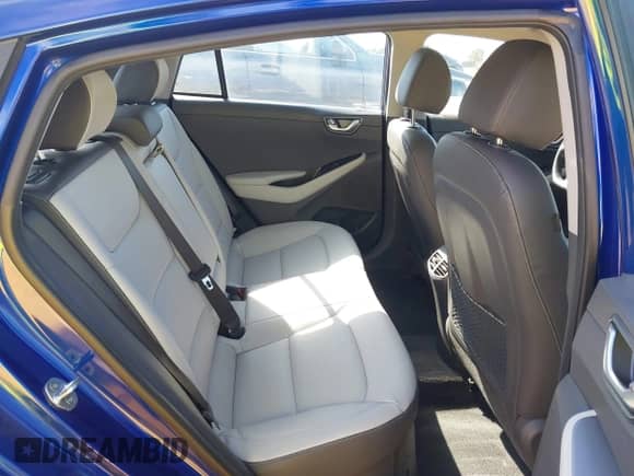 2022 Hyundai Ioniq Limited с VIN KMHC05LC4NU271221, выставлен на аукционе IAAI как лот 43066984 с пробегом 89 843 миль миль и . История ставок и продаж доступна на DreamBid. Изображение 8.