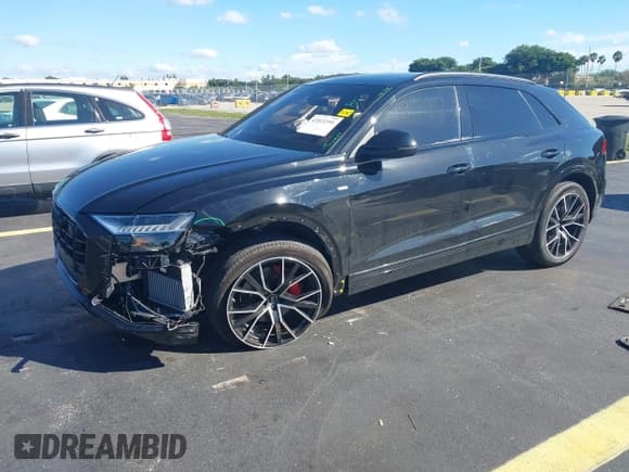 ✅ 2022 Audi Q8 Premium Plus • VIN: WA1EVBF1XND026277 • Lot: 43521591. Listed on IAAI with 31,804 mi. Free auction sales archive from the USA and detailed vehicle history report at DreamBid. Image 17.