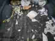 2016 Chevrolet Colorado 4WD WT с VIN 1GCHTBE35G1330889, выставлен на аукционе Copart как лот 69065045 с пробегом 60 832 миль миль и Чистый • Clean title. История ставок и продаж доступна на DreamBid. Изображение 10.