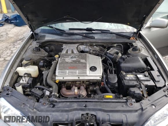 ✅ 2000 Lexus ES 300 • VIN: JT8BF28G8Y0287764 • Lot: 58699365. Listed on Copart with 216,164 mi. Free auction sales archive from the USA and detailed vehicle history report at DreamBid. Image 11.