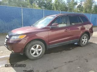 ✅ 2009 Hyundai Santa Fe GL • VIN: 5NMSG73E89H314013 • Lot: 69610435. Listed on Copart with 225,807 mi. Free auction sales archive from the USA and detailed vehicle history report at DreamBid. Image 1.