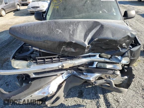 ✅ 2003 Chevrolet Suburban LT • VIN: 3GNEC16Z33G342042 • Lot: 74600384. Wystawiony na Copart z przebiegiem Nie podano. Bezpłatny archiwum sprzedaży aukcyjnych z USA i szczegółowy raport historii pojazdu na DreamBid. Zdjęcie 11.