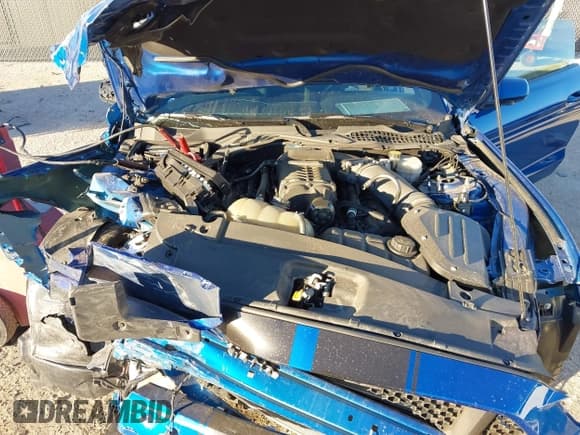 ✅ 2017 Ford Mustang GT • VIN: 1FA6P8CF2H5317061 • Lot: 40916894. Listed on IAAI with 27,110 mi. Free auction sales archive from the USA and detailed vehicle history report at DreamBid. Image 10.