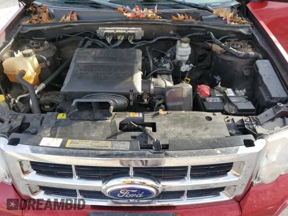 ✅ 2010 Ford Escape XLT • VIN: 1FMCU9DG3AKD24042 • Лот: 93752115. Опубликован ранее на Copart с пробегом 137 466 миль. Бесплатный доступ к архиву аукционных продаж из США и подробный отчёт об истории автомобиля на DreamBid. Изображение 12.