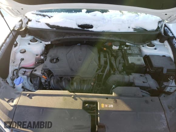 ✅ 2022 Hyundai Tucson SEL • VIN: 5NMJBCAE3NH071999 • Lot: 38626973. Wystawiony na Copart z przebiegiem 9 391 mil. Bezpłatny archiwum sprzedaży aukcyjnych z USA i szczegółowy raport historii pojazdu na DreamBid. Zdjęcie 11.