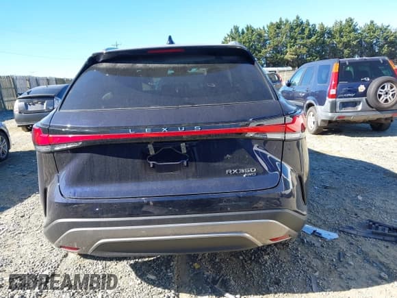 ✅ 2025 Lexus RX 350 Premium Plus • VIN: 2T2BAMCAXSC097441 • Lot: 43386552. Wystawiony na IAAI z przebiegiem 1 316 mil. Bezpłatny archiwum sprzedaży aukcyjnych z USA i szczegółowy raport historii pojazdu na DreamBid. Zdjęcie 17.