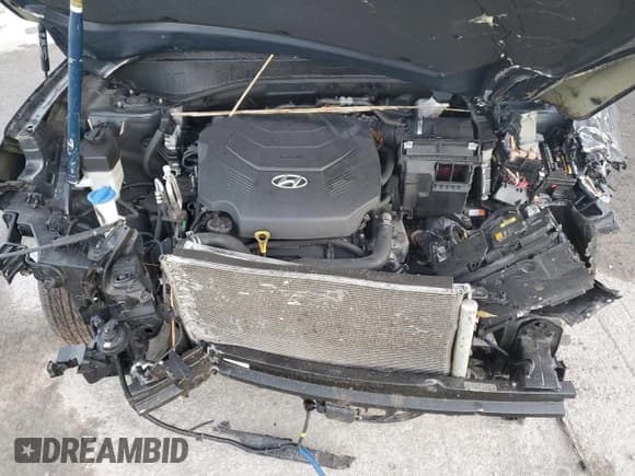 ✅ 2020 Hyundai Palisade SEL • VIN: KM8R4DHE7LU029197 • Лот: 77357774. Опубликован ранее на Copart с пробегом 94 324 миль. Бесплатный доступ к архиву аукционных продаж из США и подробный отчёт об истории автомобиля на DreamBid. Изображение 13.