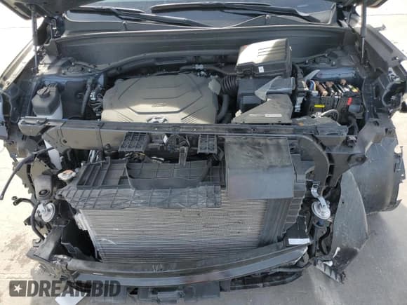 ✅ 2024 Hyundai Palisade SEL • VIN: KM8R24GE2RU780076 • Лот: 84860404. Опубликован ранее на Copart с пробегом 9 097 миль. Бесплатный доступ к архиву аукционных продаж из США и подробный отчёт об истории автомобиля на DreamBid. Изображение 12.