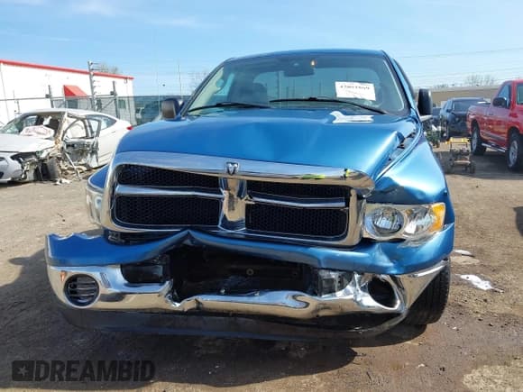 ✅ 2003 Dodge 1500 ST • VIN: 1D7HA16D03J628936 • Лот: 42091869. Опубликован ранее на IAAI с пробегом 46 398 миль. Бесплатный доступ к архиву аукционных продаж из США и подробный отчёт об истории автомобиля на DreamBid. Изображение 12.