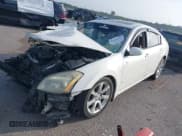 ✅ 2008 Nissan Maxima SE • VIN: 1N4BA41E78C824679 • Lot: 42616572. Listed on IAAI with Not provided. Free auction sales archive from the USA and detailed vehicle history report at DreamBid. Image 2.