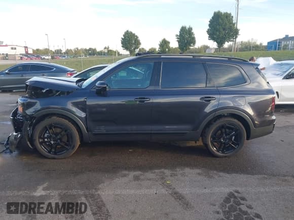 ✅ 2025 Kia Telluride SX-Prestige X-Line • VIN: 5XYP5DGC2SG629750 • Lot: 43464446. Listed on IAAI with 2,911 mi. Free auction sales archive from the USA and detailed vehicle history report at DreamBid. Image 15.