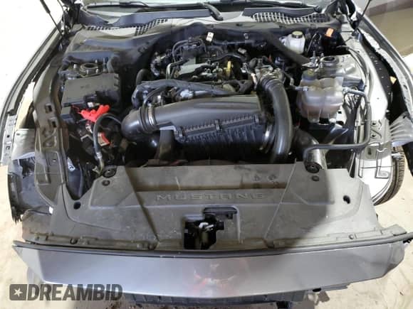 2024 Ford Mustang EcoBoost with VIN 1FAGP8UH1R5136541, listed as a Copart auction lot 59295935 with Not provided miles and Salvage title. Bid and sale history available at DreamBid. Image 11.