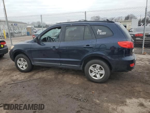 ✅ 2009 Hyundai Santa Fe GLS • VIN: 5NMSG13D89H324531 • Lot: 41603665. Listed on Copart with 132,500 mi. Free auction sales archive from the USA and detailed vehicle history report at DreamBid. Image 2.