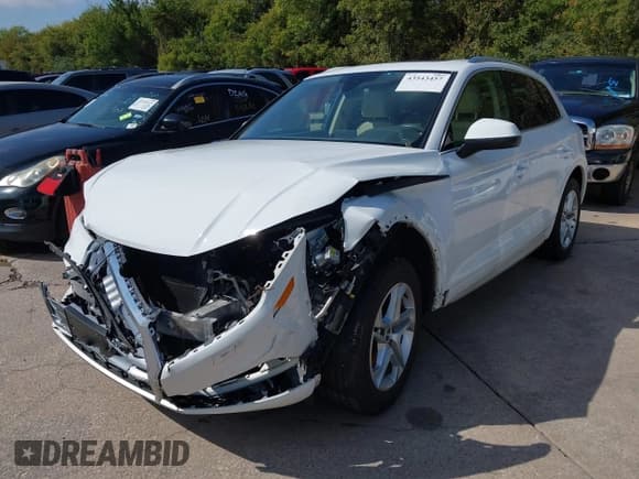✅ 2019 Audi Q5 Premium • VIN: WA1ANAFY9K2137853 • Lot: 43543457. Listed on IAAI with Not provided. Free auction sales archive from the USA and detailed vehicle history report at DreamBid. Image 2.