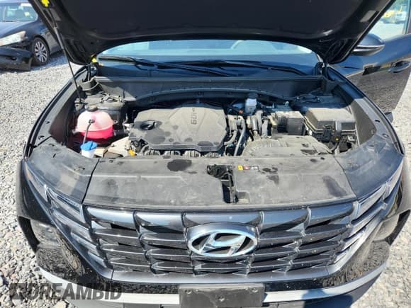 ✅ 2023 Hyundai Tucson SEL • VIN: 5NMJBCAE6PH264778 • Lot: 81438515. Listed on Copart with 19,387 mi. Free auction sales archive from the USA and detailed vehicle history report at DreamBid. Image 11.