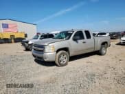 ✅ 2008 Chevrolet Silverado 1500 1LT • VIN: 1GCEC19068Z313955 • Lot: 80303245. Listed on Copart with 267,255 mi. Free auction sales archive from the USA and detailed vehicle history report at DreamBid. Image 1.