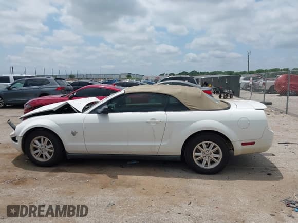 ✅ 2009 Ford Mustang • VIN: 1ZVHT84N595112837 • Lot: 42383859. Listed on IAAI with 146,605 mi. Free auction sales archive from the USA and detailed vehicle history report at DreamBid. Image 14.