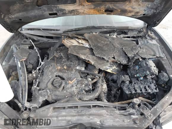 2007 Hyundai Azera SE с VIN KMHFC46F47A195122, выставлен на аукционе IAAI как лот 42202807 с пробегом 70 694 миль миль и . История ставок и продаж доступна на DreamBid. Изображение 10.