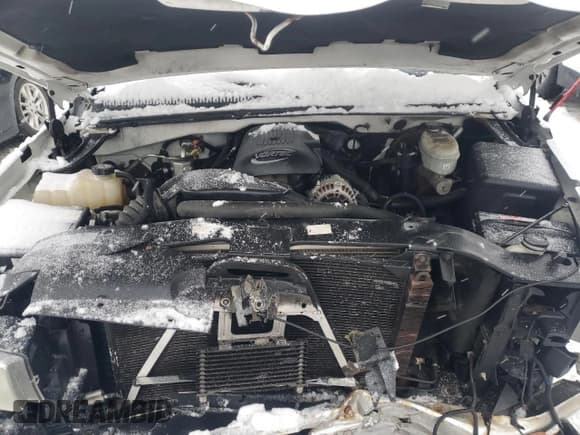 ✅ 2004 Chevrolet Silverado 1500 LS • VIN: 2GCEK13T341332990 • Lot: 41671515. Wystawiony na Copart z przebiegiem 218 496 mil. Bezpłatny archiwum sprzedaży aukcyjnych z USA i szczegółowy raport historii pojazdu na DreamBid. Zdjęcie 11.