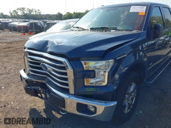 ✅ 2015 Ford F-150 XLT • VIN: 1FTEW1EP7FKD74392 • Lot: 43227965. Wystawiony na IAAI z przebiegiem 115 948 mil. Bezpłatny archiwum sprzedaży aukcyjnych z USA i szczegółowy raport historii pojazdu na DreamBid. Zdjęcie 16.