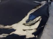 ✅ 2019 Tesla Model 3 Long Range • VIN: 5YJ3E1EBXKF364929 • Lot: 43884126. Wystawiony na IAAI z przebiegiem 189 010 mil. Bezpłatny archiwum sprzedaży aukcyjnych z USA i szczegółowy raport historii pojazdu na DreamBid. Zdjęcie 19.