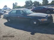 ✅ 2007 Ford Police Interceptor • VIN: 2FAHP71W67X125094 • Лот: 81733635. Опубликован ранее на Copart с пробегом 87 267 миль. Бесплатный доступ к архиву аукционных продаж из США и подробный отчёт об истории автомобиля на DreamBid. Изображение 4.