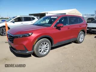 ✅ 2024 Honda CR-V EX-L • VIN: 2HKRS4H71RH421879 • Lot: 82259005. Wystawiony na Copart z przebiegiem 14 241 mil. Bezpłatny archiwum sprzedaży aukcyjnych z USA i szczegółowy raport historii pojazdu na DreamBid. Zdjęcie 1.