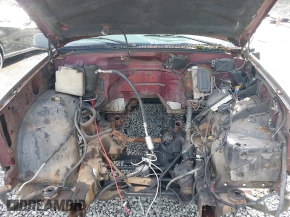 ✅ 1997 Chevrolet Silverado 1500 • VIN: 2GCEK19R5V1211794 • Lot: 43594101. Wystawiony na IAAI z przebiegiem 228 738 mil. Bezpłatny archiwum sprzedaży aukcyjnych z USA i szczegółowy raport historii pojazdu na DreamBid. Zdjęcie 10.