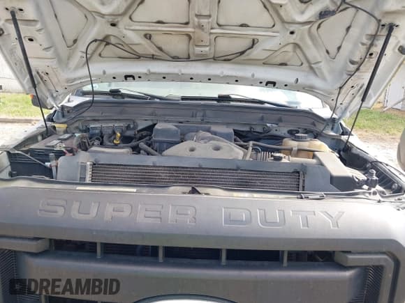 ✅ 2011 Ford F-250 XL • VIN: 1FDBF2B66BEC47481 • Lot: 41893491. Wystawiony na IAAI z przebiegiem 306 160 mil. Bezpłatny archiwum sprzedaży aukcyjnych z USA i szczegółowy raport historii pojazdu na DreamBid. Zdjęcie 10.
