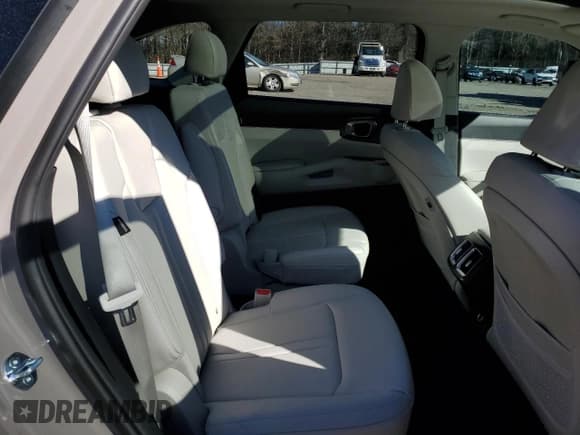 ✅ 2025 Kia Sorento X-Line EX • VIN: 5XYRHDJF4SG325645 • Lot: 41729565. Wystawiony na Copart z przebiegiem 344 mil. Bezpłatny archiwum sprzedaży aukcyjnych z USA i szczegółowy raport historii pojazdu na DreamBid. Zdjęcie 11.