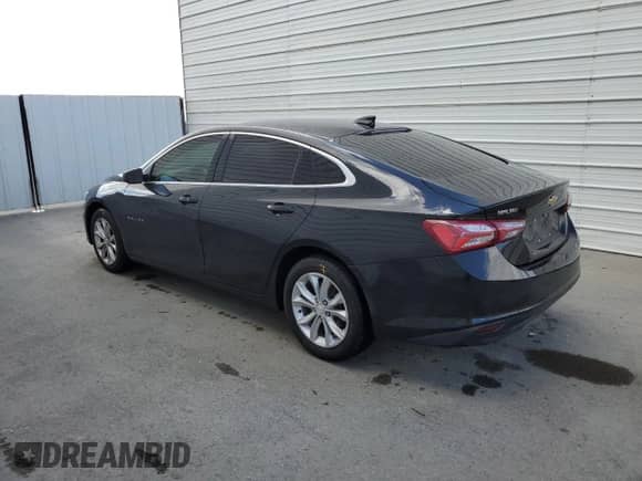 2019 Chevrolet Malibu LT with VIN 1G1ZD5ST0KF134371, listed as a Copart auction lot 54776305 with 116,029 mi miles and Clean title. Bid and sale history available at DreamBid. Image 2.