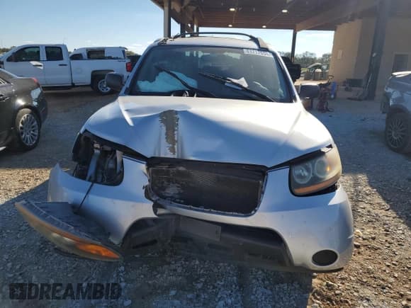 ✅ 2009 Hyundai Santa Fe GLS • VIN: 5NMSG13D79H273779 • Lot: 81717654. Listed on Copart with 110,011 mi. Free auction sales archive from the USA and detailed vehicle history report at DreamBid. Image 5.