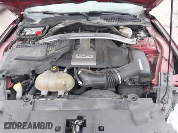 ✅ 2019 Ford Mustang GT Premium • VIN: 1FA6P8CF2K5163541 • Lot: 43174731. Wystawiony na IAAI z przebiegiem 105 898 mil. Bezpłatny archiwum sprzedaży aukcyjnych z USA i szczegółowy raport historii pojazdu na DreamBid. Zdjęcie 10.