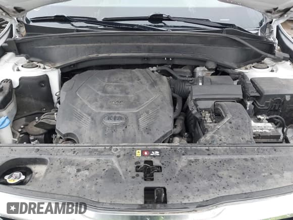 ✅ 2020 Kia Telluride S • VIN: 5XYP64HC2LG091547 • Лот: 43769971. Опубликован ранее на IAAI с пробегом 99 187 миль. Бесплатный доступ к архиву аукционных продаж из США и подробный отчёт об истории автомобиля на DreamBid. Изображение 10.