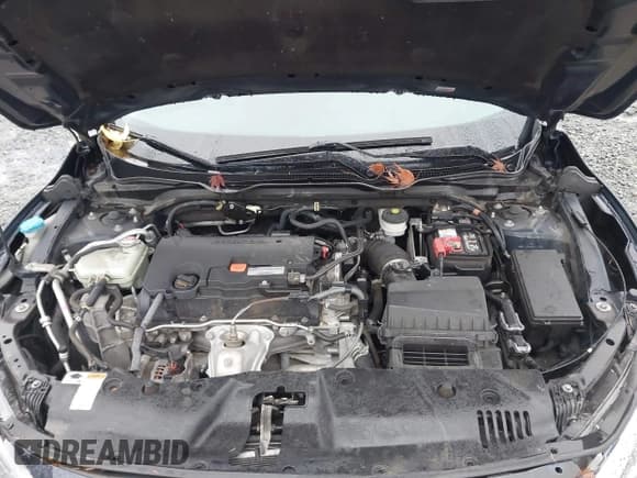 ✅ 2017 Honda Civic LX • VIN: 2HGFC2F57HH542429 • Lot: 43711553. Wystawiony na IAAI z przebiegiem 80 981 mil. Bezpłatny archiwum sprzedaży aukcyjnych z USA i szczegółowy raport historii pojazdu na DreamBid. Zdjęcie 10.