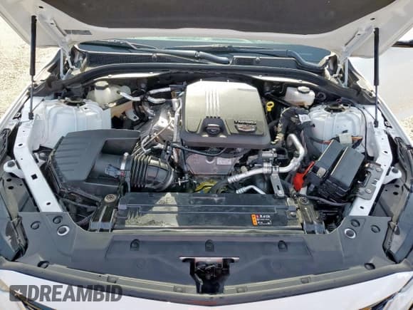 ✅ 2023 Cadillac CT5 Premium Luxury • VIN: 1G6DS5RK9P0149016 • Lot: 61144795. Wystawiony na Copart z przebiegiem Nie podano. Bezpłatny archiwum sprzedaży aukcyjnych z USA i szczegółowy raport historii pojazdu na DreamBid. Zdjęcie 11.