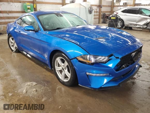 ✅ 2021 Ford Mustang EcoBoost • VIN: 1FA6P8TH5M5117612 • Lot: 45970355. Wystawiony na Copart z przebiegiem 42 379 mil. Bezpłatny archiwum sprzedaży aukcyjnych z USA i szczegółowy raport historii pojazdu na DreamBid. Zdjęcie 4.