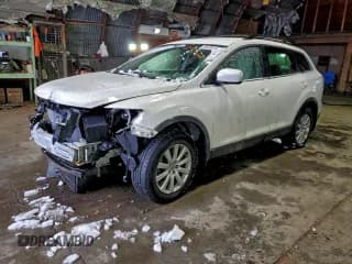 ✅ 2009 Mazda CX-9 Sport • VIN: JM3TB38V290178957 • Lot: 95438145. Wystawiony na Copart z przebiegiem 173 358 mil. Bezpłatny archiwum sprzedaży aukcyjnych z USA i szczegółowy raport historii pojazdu na DreamBid. Zdjęcie 1.