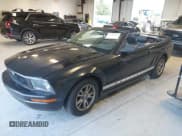 ✅ 2005 Ford Mustang Deluxe • VIN: 1ZVFT84N855165811 • Лот: 42208259. Опубликован ранее на IAAI с пробегом 128 799 миль. Бесплатный доступ к архиву аукционных продаж из США и подробный отчёт об истории автомобиля на DreamBid. Изображение 2.