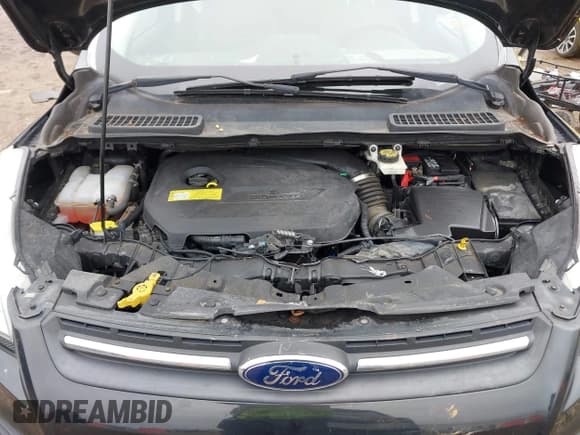 ✅ 2014 Ford Escape SE • VIN: 1FMCU0GX4EUA35916 • Lot: 42176502. Wystawiony na IAAI z przebiegiem 161 465 mil. Bezpłatny archiwum sprzedaży aukcyjnych z USA i szczegółowy raport historii pojazdu na DreamBid. Zdjęcie 10.