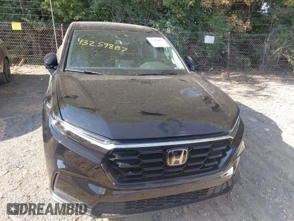 ✅ 2024 Honda CR-V EX • VIN: 7FARS4H44RE008850 • Lot: 43259887. Listed on IAAI with 13,338 mi. Free auction sales archive from the USA and detailed vehicle history report at DreamBid. Image 12.